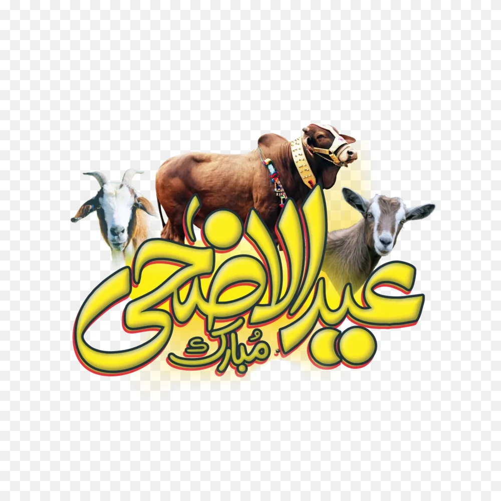 Yellow Eid ul Adha Calligraphy with Qurbani Animals PNG Transparent Background