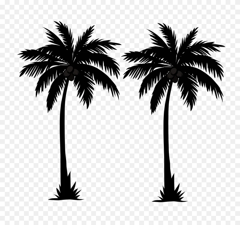 Twin Tropical Palm Tree Silhouettes PNG Transparent Background