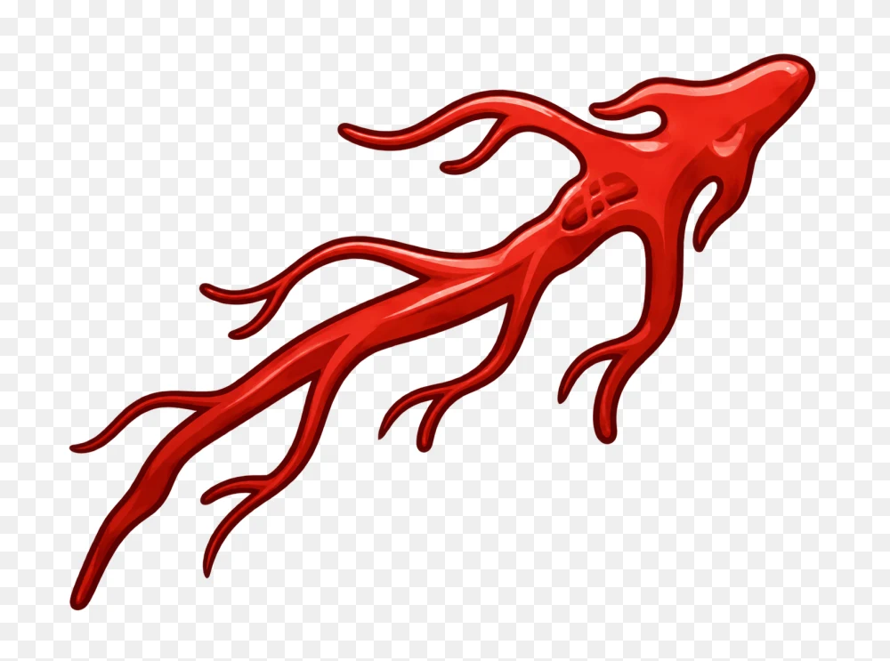 Blood Vessel PNG Image Transparent Background  Transparent Background
