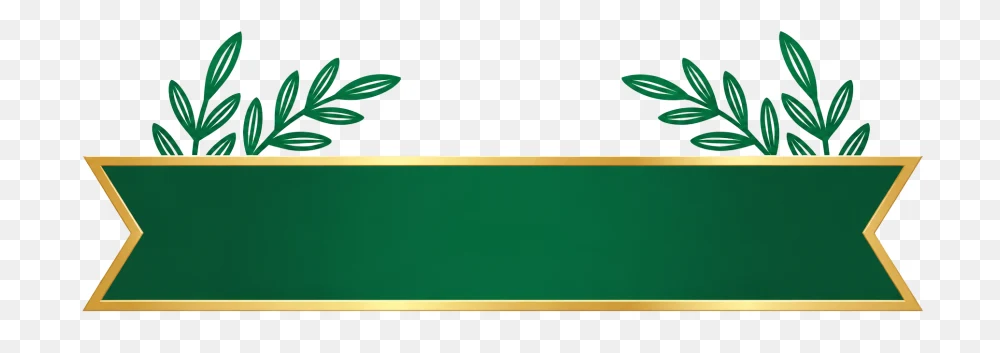 Green Banner with Golden Border Transparent Background PNG Transparent Background
