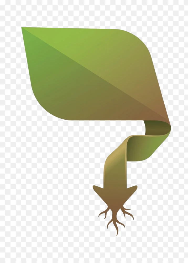 Green Leaf Arrow Transparent Background PNG  Transparent Background